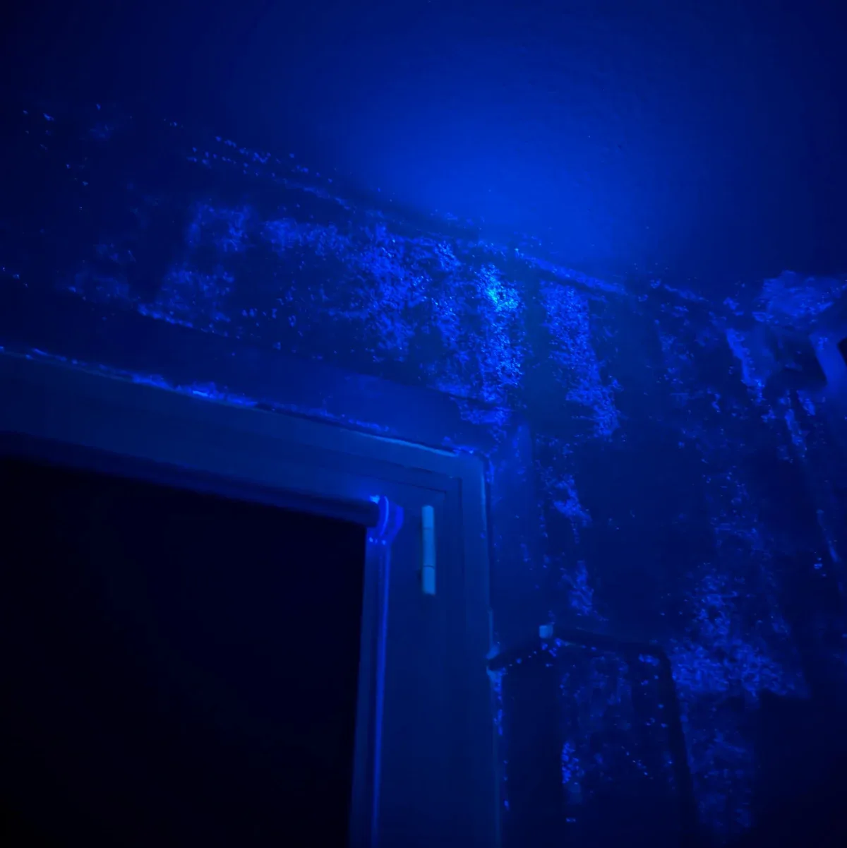 Mould contamination detected around door frame