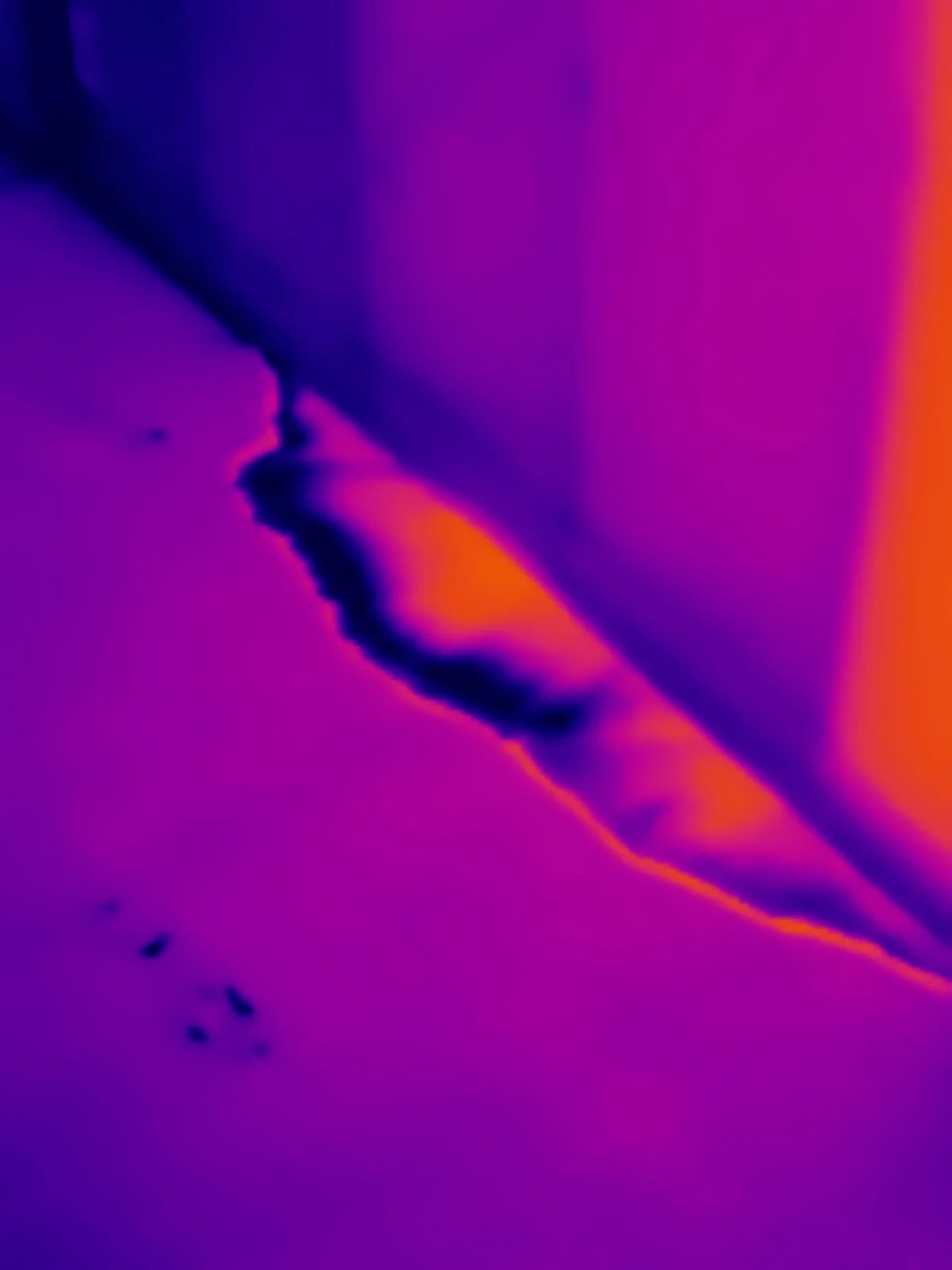 Thermal imaging identifying moisture intrusion through a wall junction